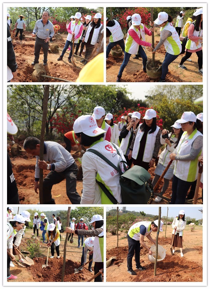 1537291049211229.jpg 2.jpg